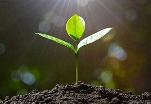 土壤與固廢檢測(cè)與分析